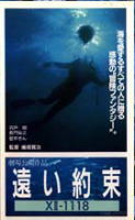 XⅡ-1118