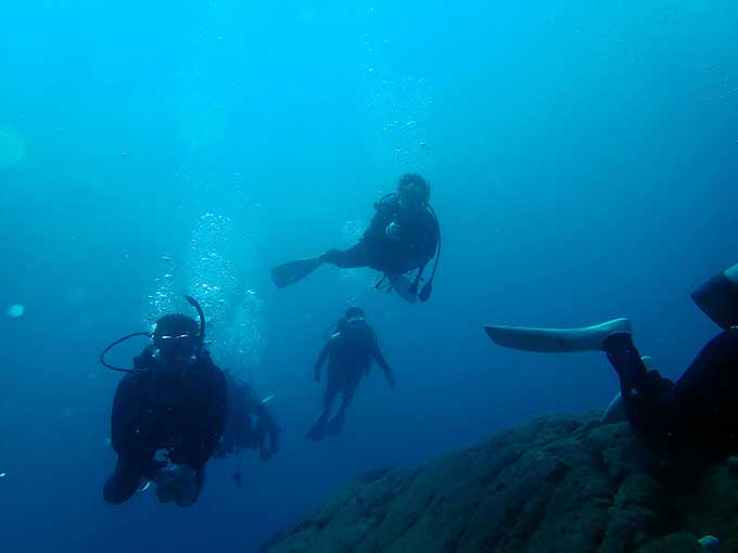 ダイバーズ・ハイドの日帰りツアーの一コマ
