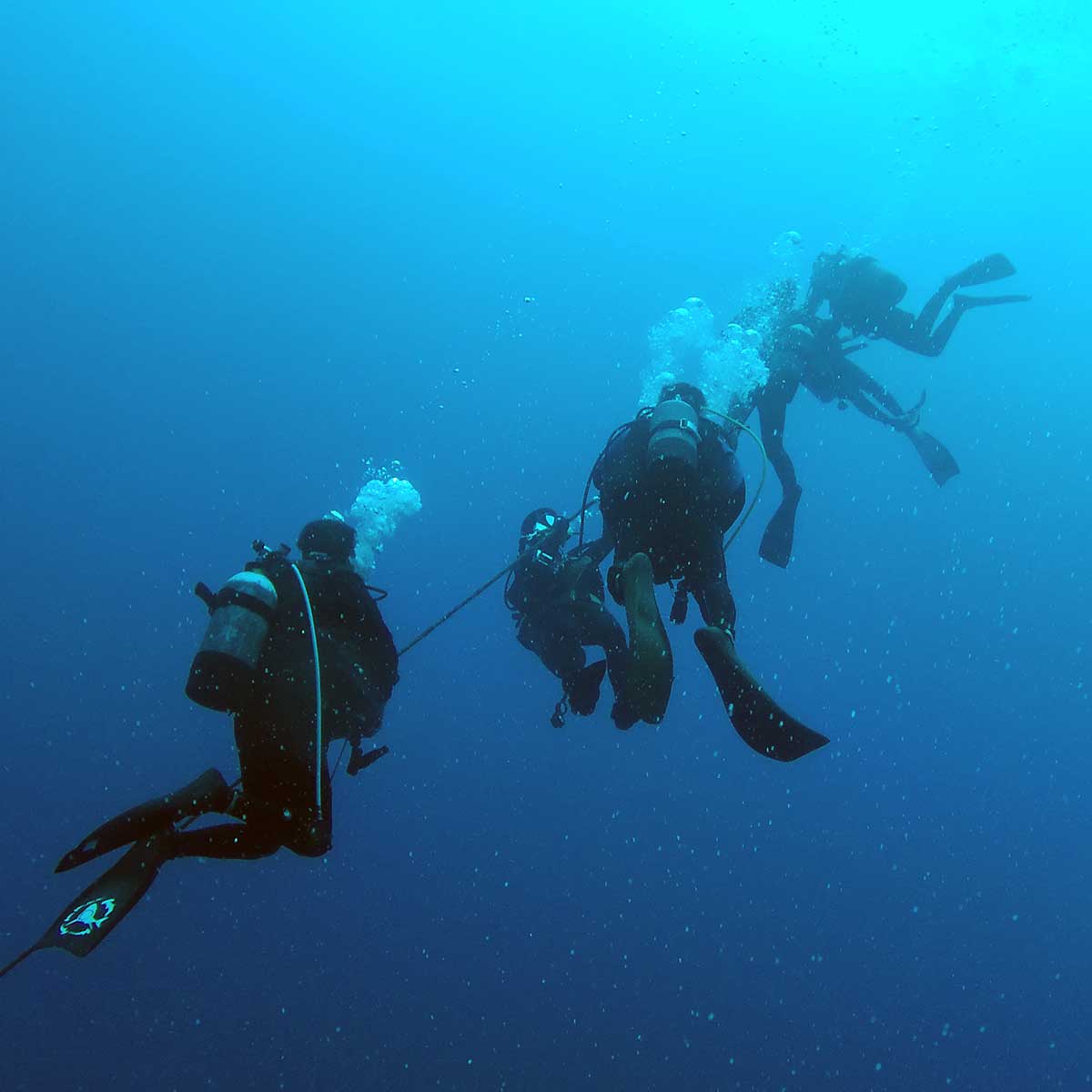 ダイバーズ・ハイドの水中写真