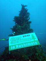 串本Xmasイメージ